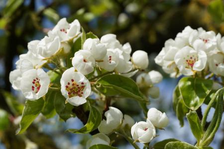 Frühling Archehof 2023 06.JPG