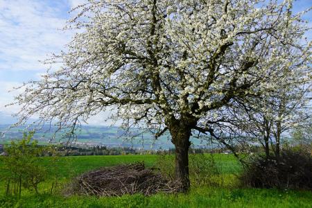 Frühling Archehof 2023 09.JPG