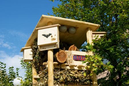 Lebensturm Rothenburg Fledermauskasten Archehof Neuhof