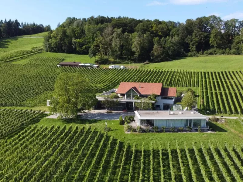 weingut-nadine-saxer-weingut-5-1-1400x0-c-default.webp